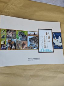 祁连山野生动物的乐园
