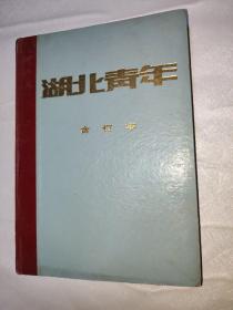 湖北青年 合订本1987年