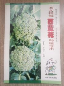 图文精解西蓝花种植技术