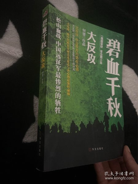 碧血千秋：大反攻