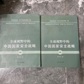 全球视野中的中国国家安全战略 中卷（上下册）