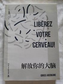 解放你的大脑：法国神经科学专家教你激荡脑力与创意