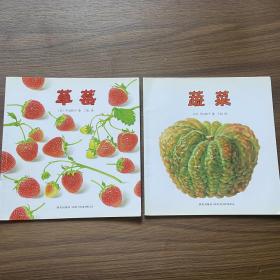 我最喜欢的水果和蔬菜：草莓 蔬菜（两本合售） 新星出版社