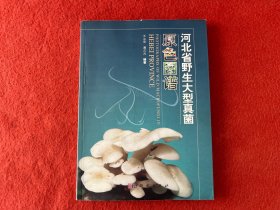 河北省野生大型真菌原色图谱【签赠本 封皮有灰印】实物拍图