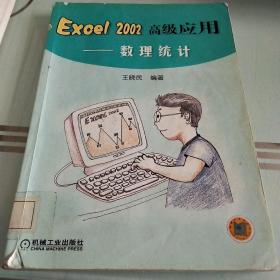 Excel2002高级应用：数理统计