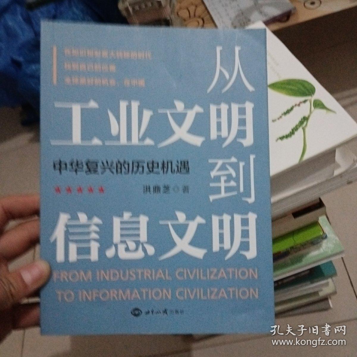 从工业文明到信息文明：中华复兴的历史机遇