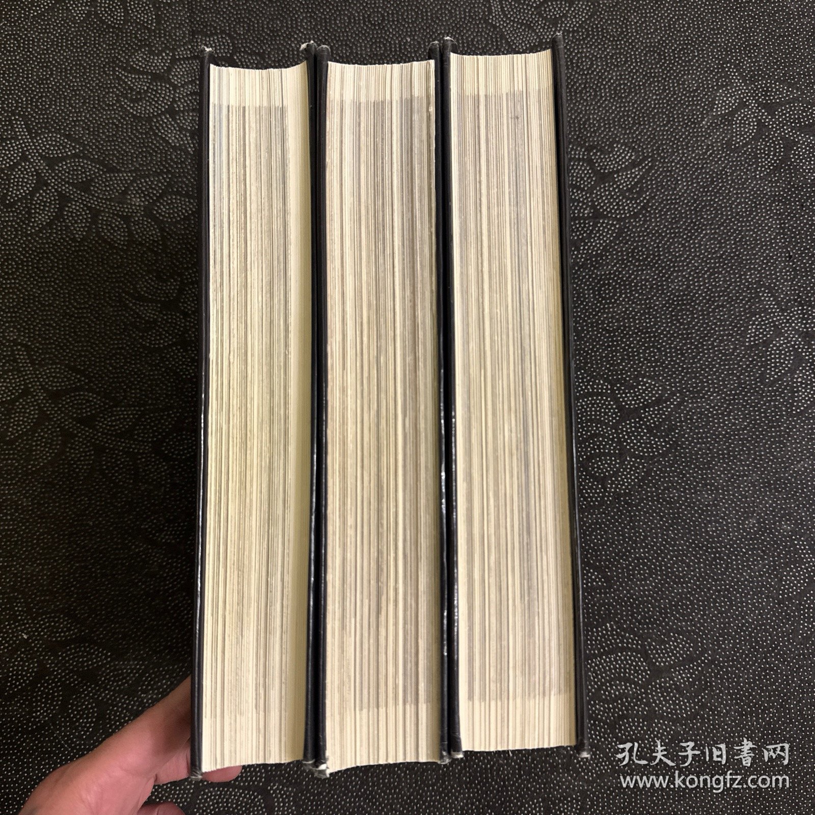 世界建筑史：文艺复兴卷（上中下）