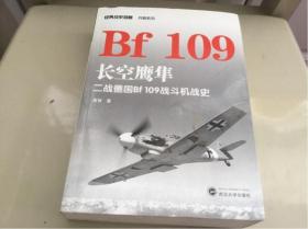 长空鹰隼：二战德国Bf 109战斗机战史