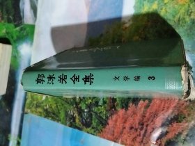 郭沫若全集 3 文学编