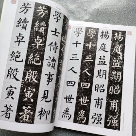 颜真卿《颜勤礼碑》（拓本?程志宏临本）附赠视频教程河南美术出版社