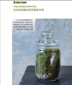 手心里的小森林：苔藓瓶微景观制作