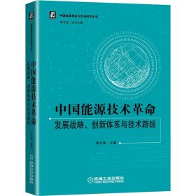 中国能源技术革命：发展战略、创新体系与技术路线