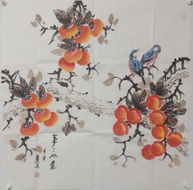 河北省美协画家刘老师纯手绘斗方柿子国画作品精品字画书画（没有编号，暂时找不到）