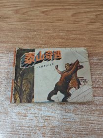 泰山奇遇（五）