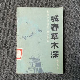 城春草木深:长篇小说《贝壳》《面纱》合集