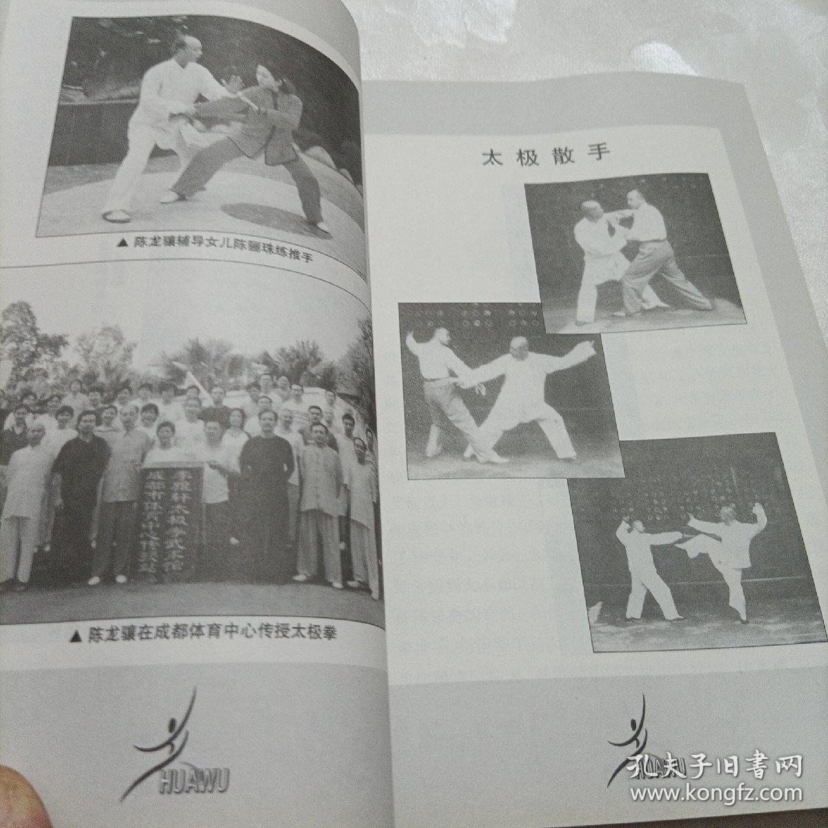 李雅轩太极推手精粹