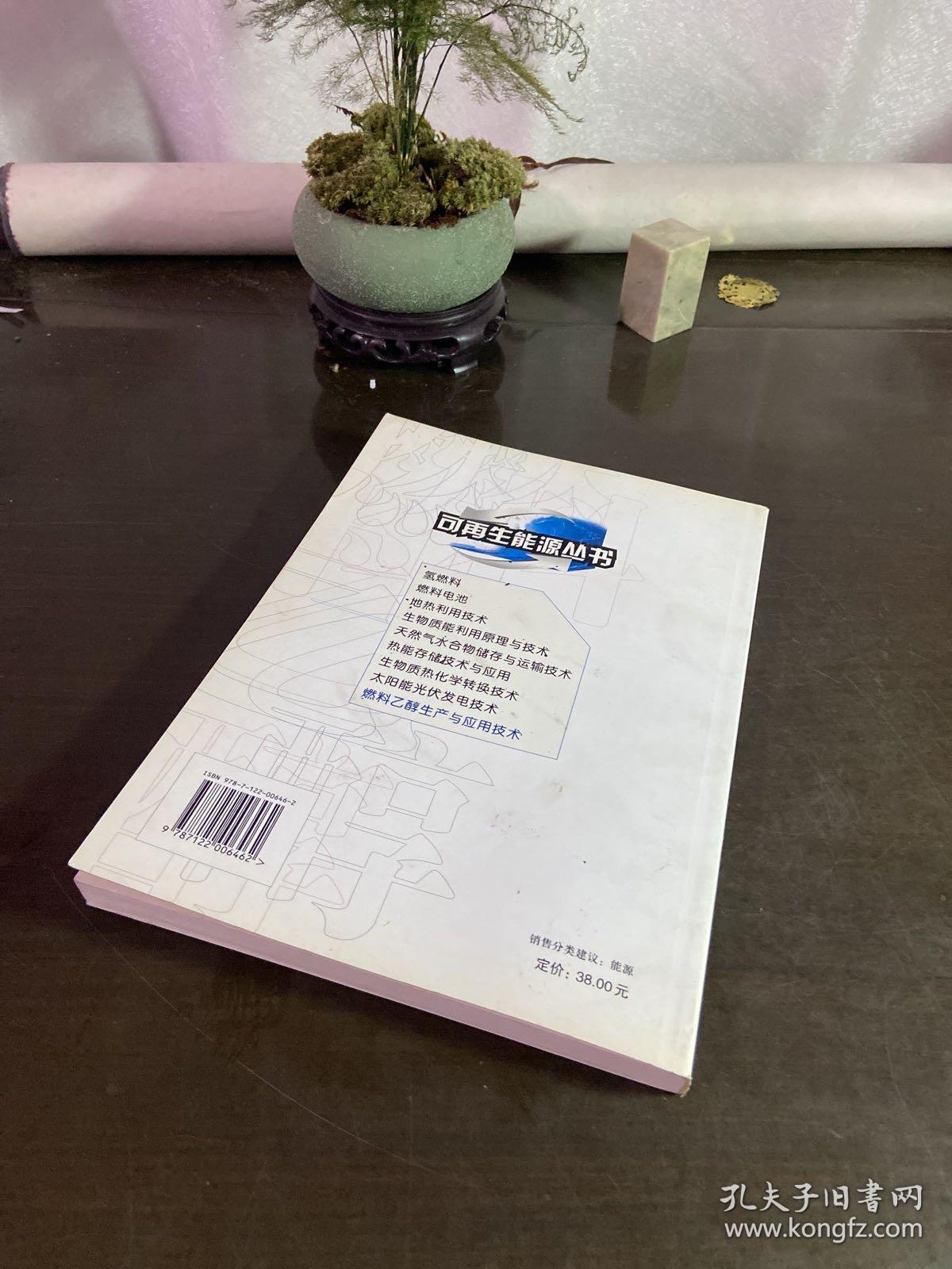 燃料乙醇生产与应用技术