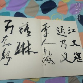 罗铭教授遗作展开幕签名册