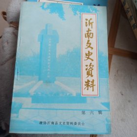 沂南文史资料 第六辑