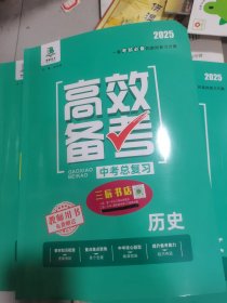 2025高效备考中考总复习历史教师用书