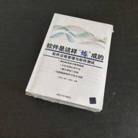 软件是这样“炼”成的：软件过程管理与软件测试