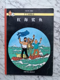 红海鲨鱼