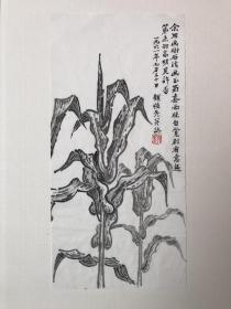 顾强先水墨画作品(卖家保真)