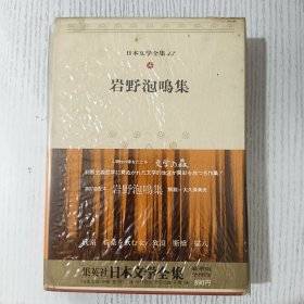 日文原版 日本文学全集 13 岩野泡鳴集 集英社 昭和四十九年