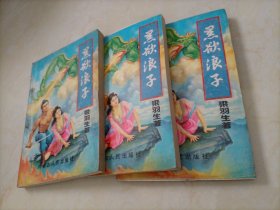 梁羽生武侠小说：黑欲浪子（上中下册）【订书机生锈，封皮脱落】