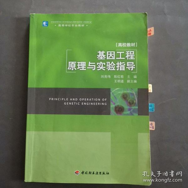 高等学校专业教材：高校教材·基因工程原理与实验指导