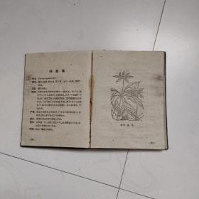 农药植物手册