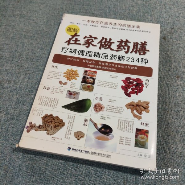 图解在家做药膳：疗病调理精品药膳234种