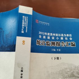 统计监测报告汇编 下册