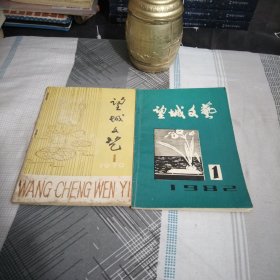 望城文艺.创刊号.1979年8月.望城文艺1982年1，2本.大32开