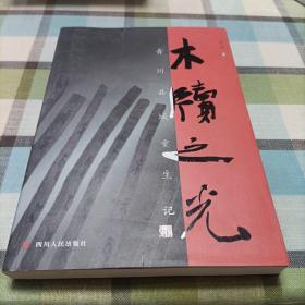 木牍之光 : 青川县城重生记