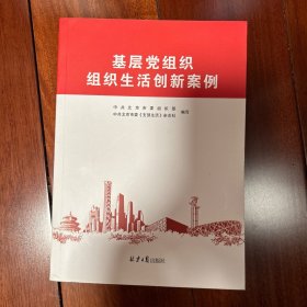 基层党组织组织生活创新案例