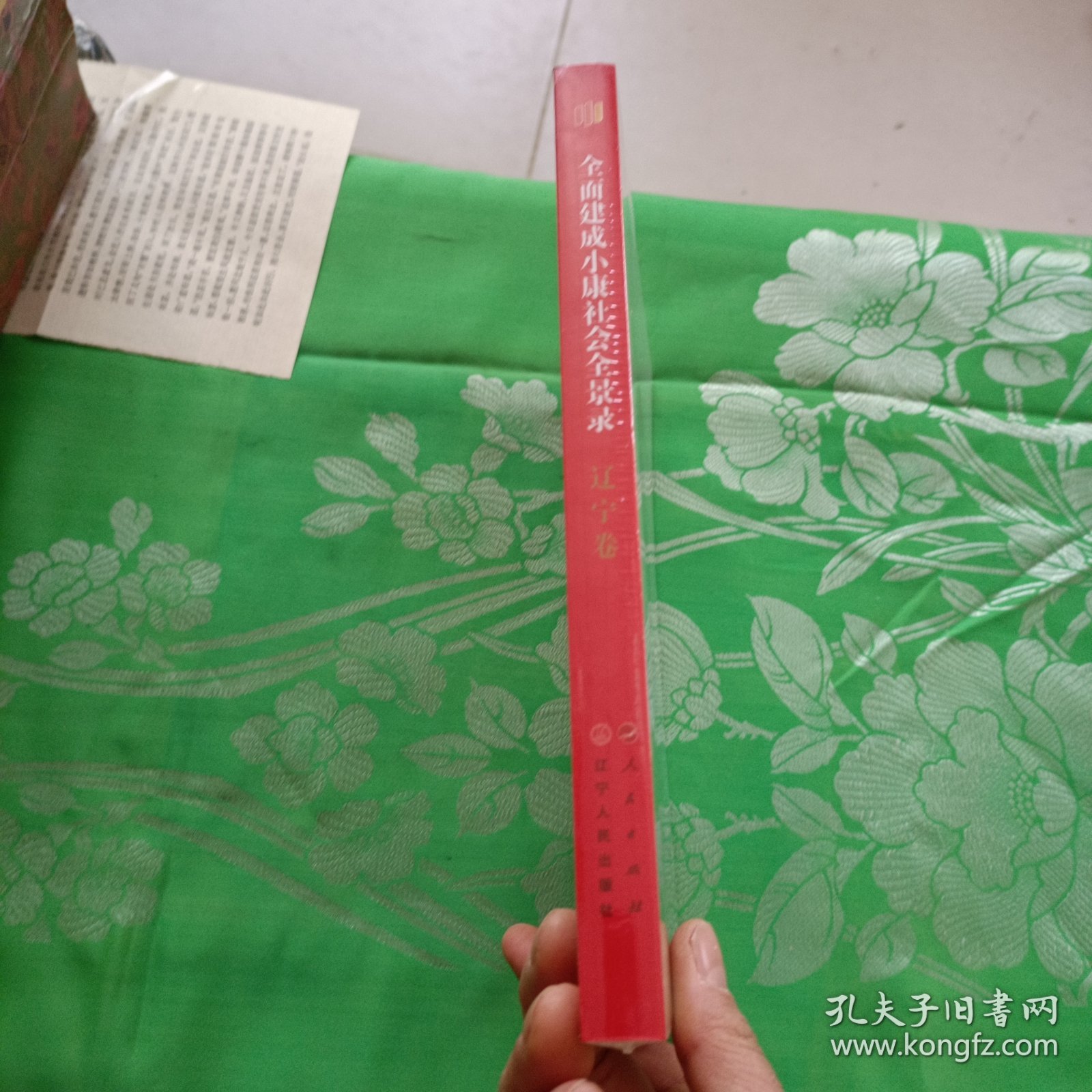 全面建成小康社会全景录辽宁卷
