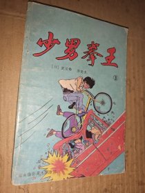 少男拳王 3