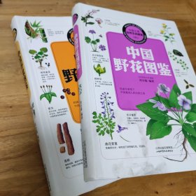 中国野花图鉴+中国野菜图鉴