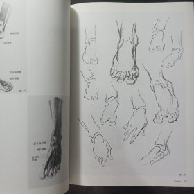 正版 解构人体-艺术人体解剖 孙韬叶南 人民美术出版社
