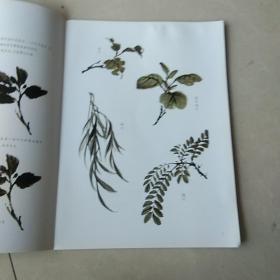 零基础国画入门教程：花鸟