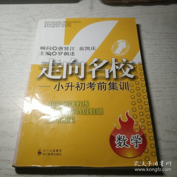 走向名校·小升初考前集训：数学