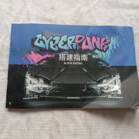 zYBEBRANB搭建指南/说明书小贴士