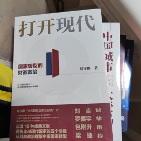 打开现代:国家转型的财政政治