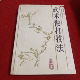 武术散打技法