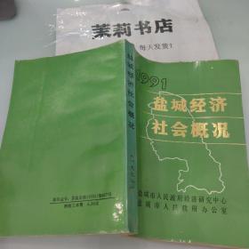 1991盐城经济社会概况