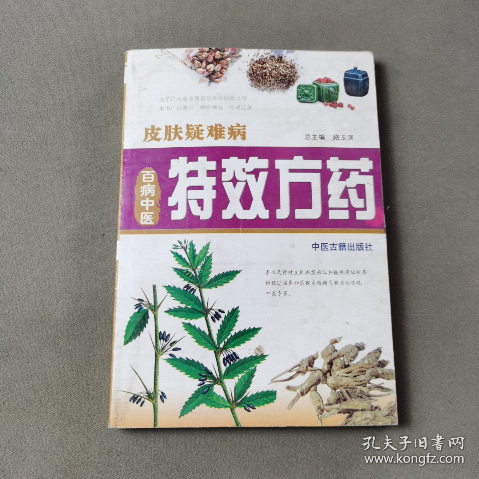 百病中医特效方药 皮肤疑难病