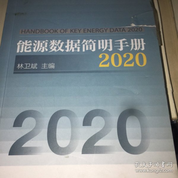 能源数据简明手册2020