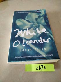 White Oleander