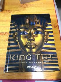 The Complete Tutankhamun：The King, the Tomb, the Royal Treasure